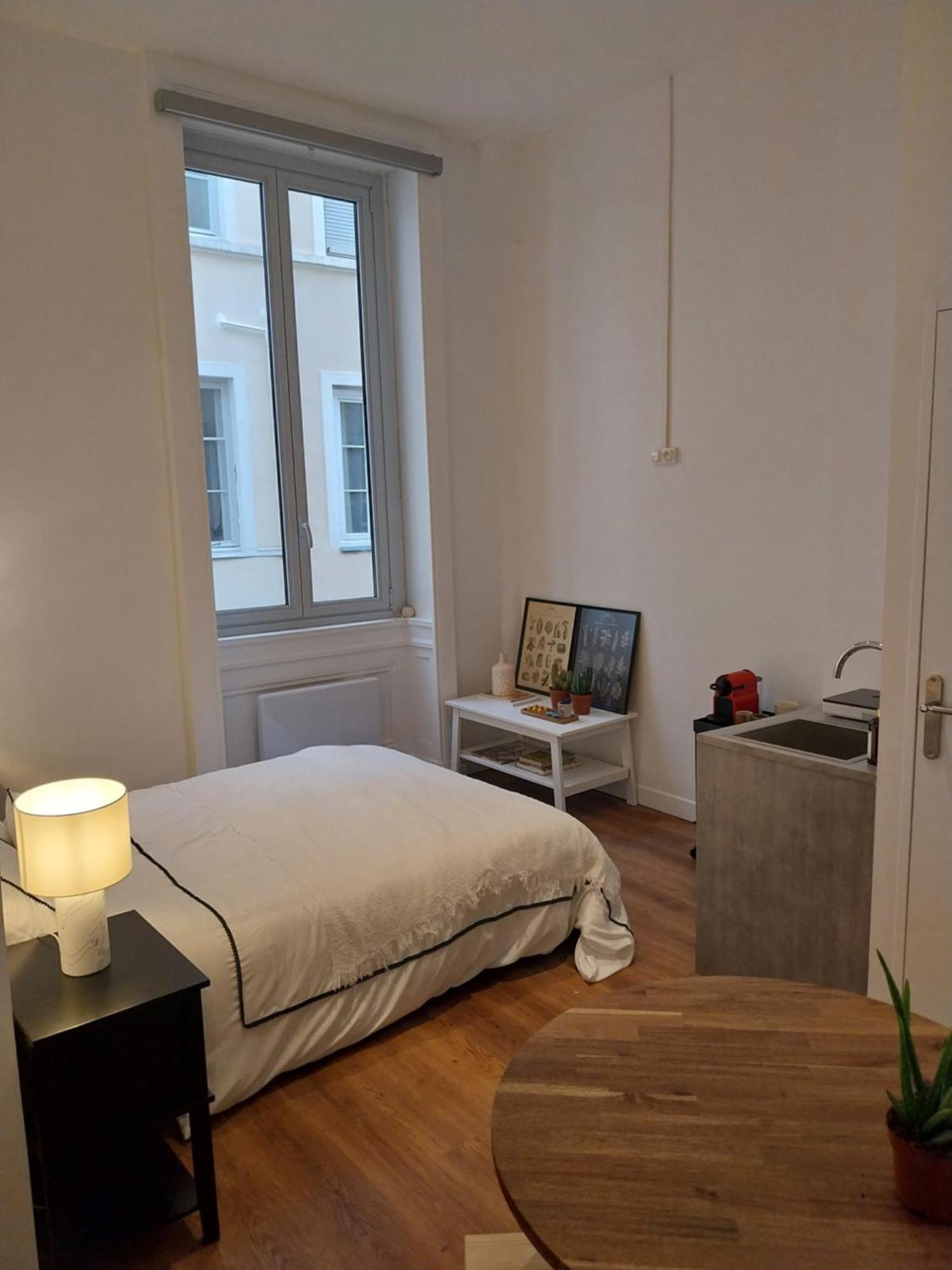 Appartement Place Des Terreaux Presqu'Ile リヨン エクステリア 写真